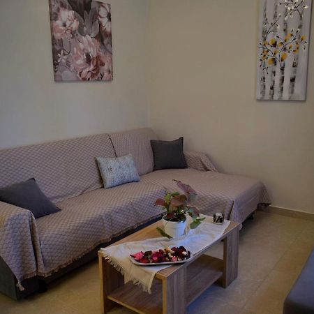 Apartament Dolphins House Lixouri Zewnętrze zdjęcie